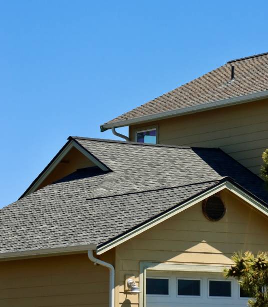 Best Skylight Installation and Repair  in Lillington, NC